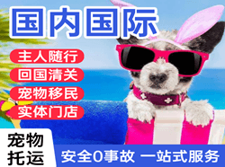 首都空运国际宠物托运 【国